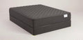 SS by Simmons- Fallon Extra Firm Mattress