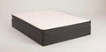 SS by Simmons- Baylen Firm Mattress